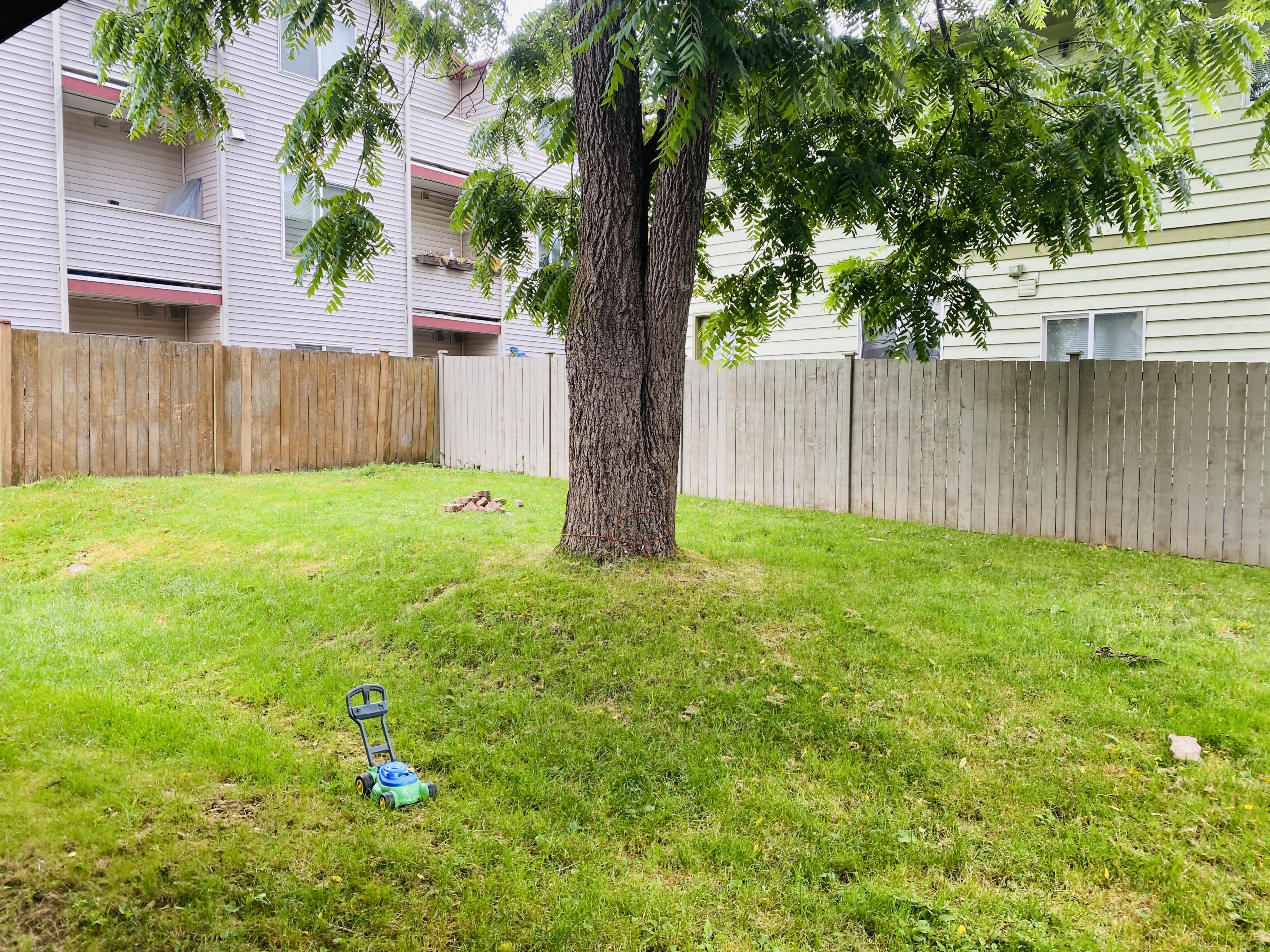 Backyard of Dorn apartments