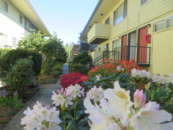 Exterior of Northwood apartments in Everett, WA