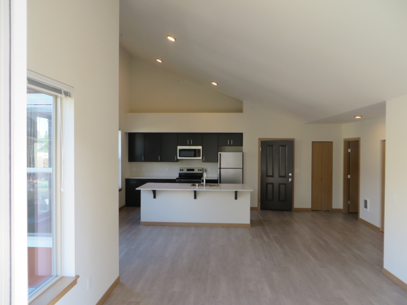 Kitchen and living room of Park77 apartment