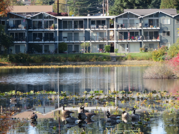 Lake view at fountainhead apartments