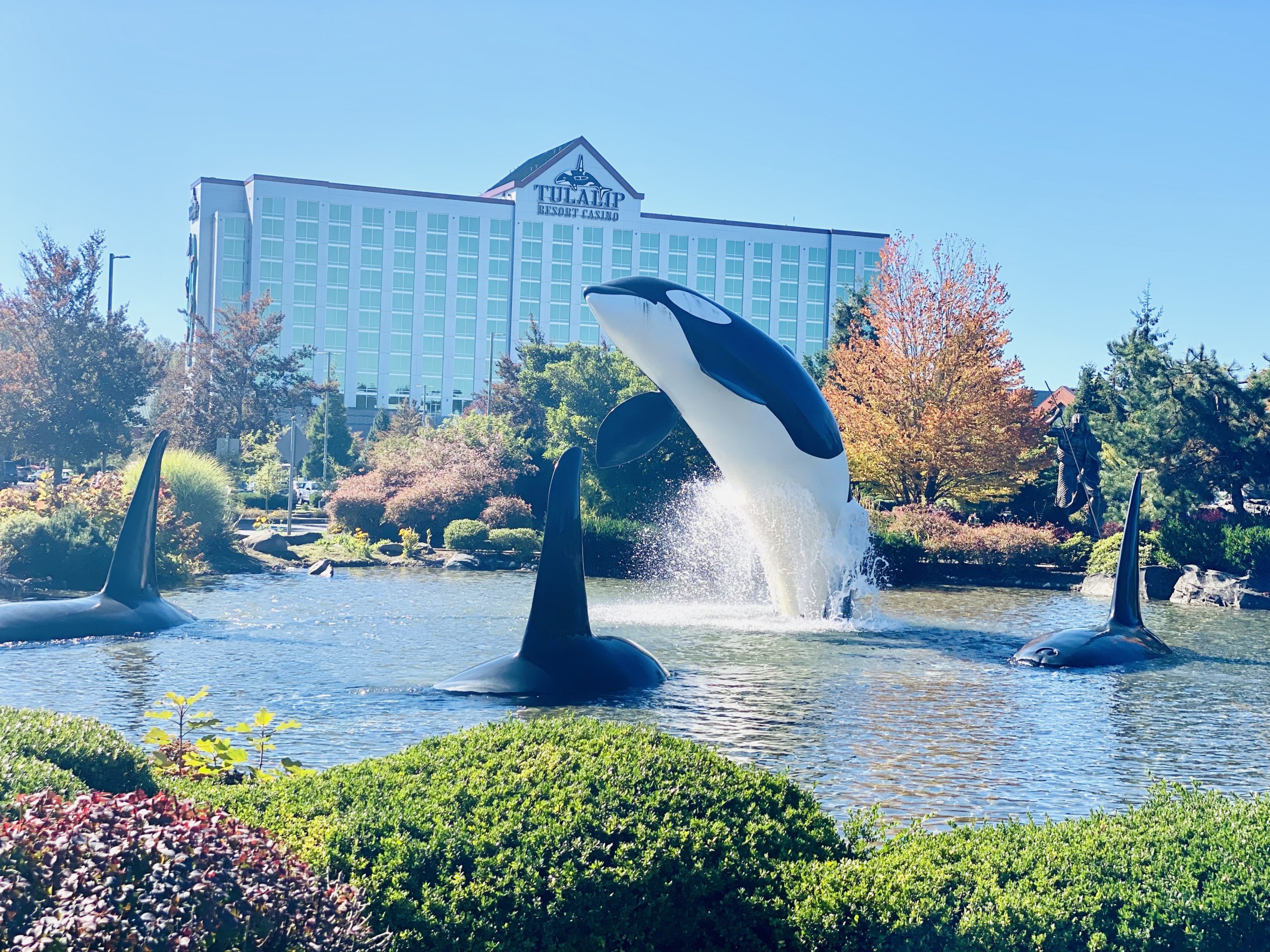 Tulalip casino pond in Marysville, WA