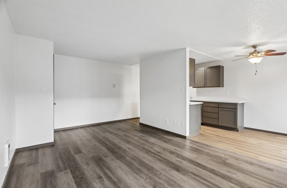 Kitchen/Living Room