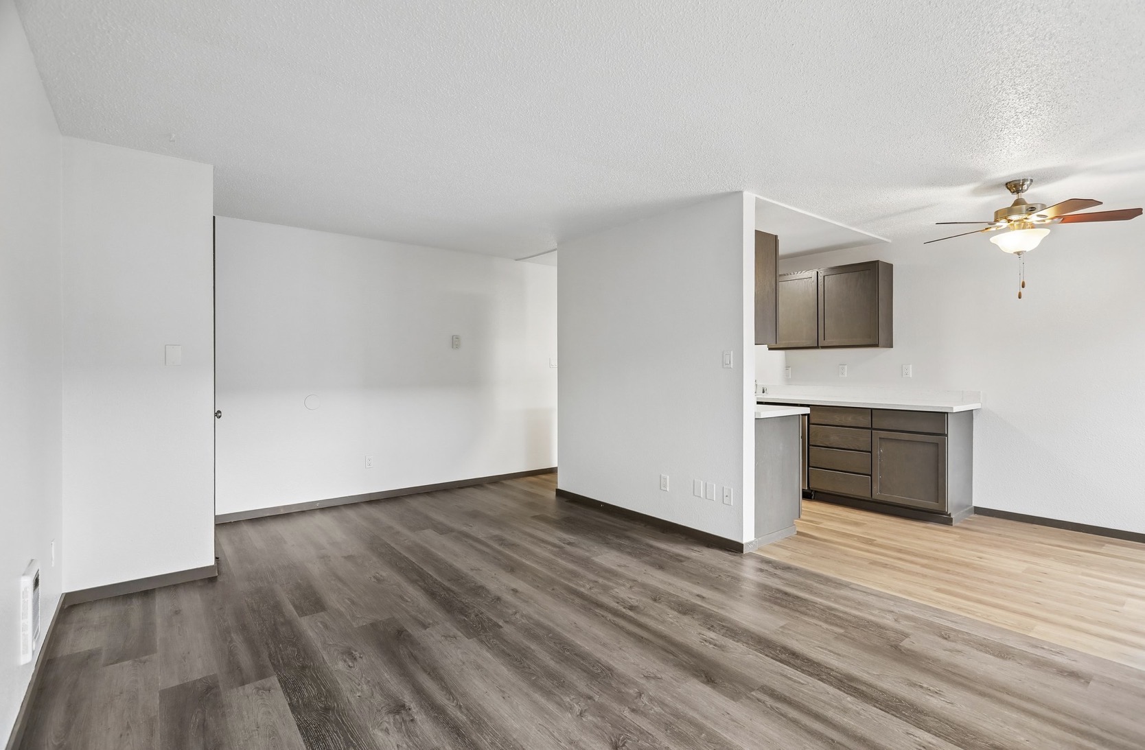 Kitchen/Living Room